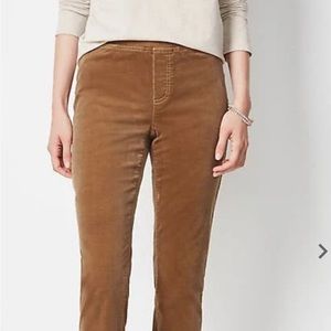 J. Jill Corduroy Pants